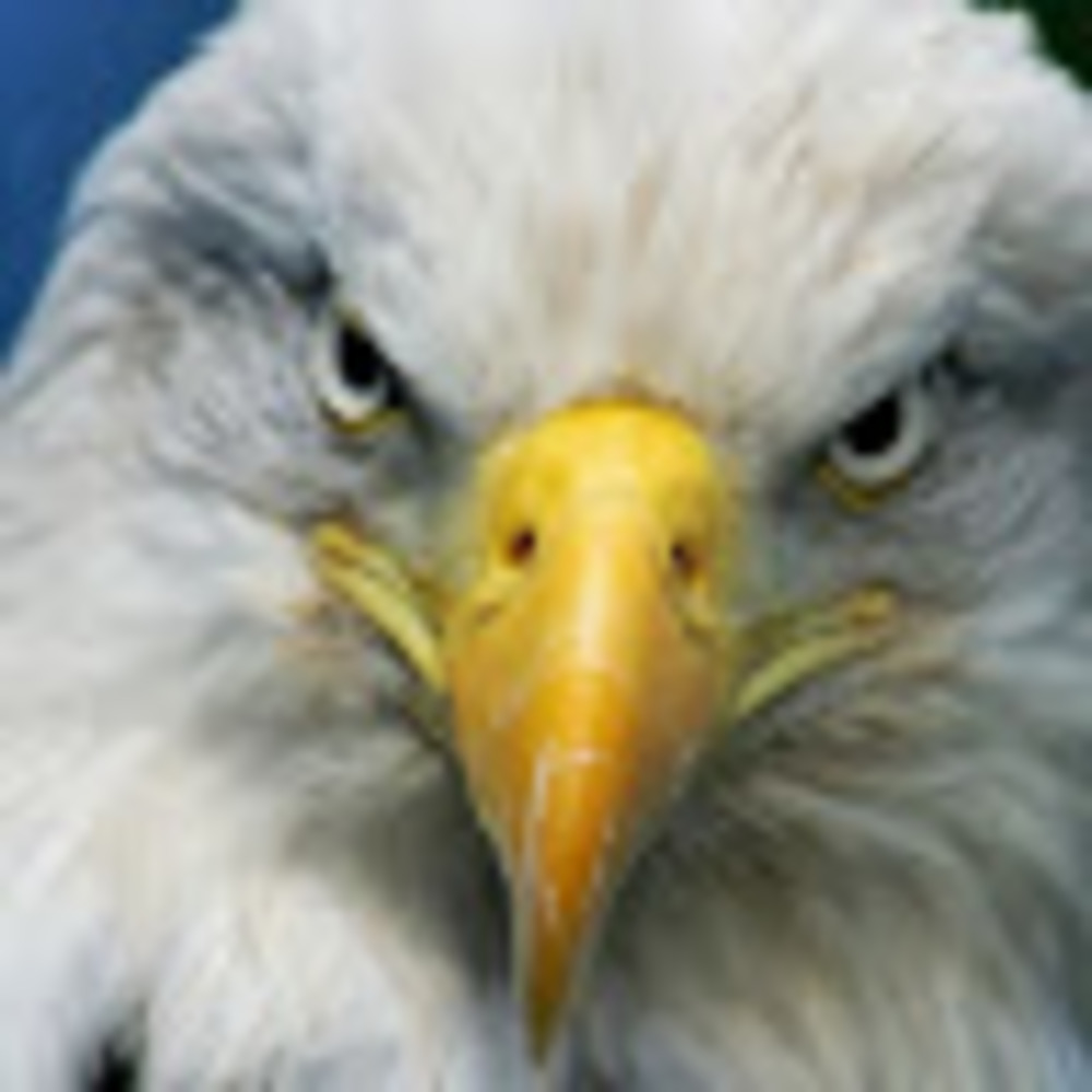 Meet your Posher, Charlie